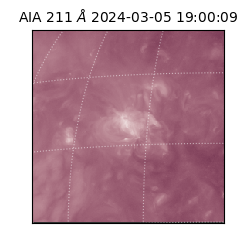 saia - 2024-03-05T19:00:09.629000