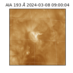 saia - 2024-03-08T09:00:04.843000