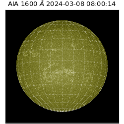 saia - 2024-03-08T08:00:14.133000