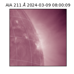 saia - 2024-03-09T08:00:09.626000