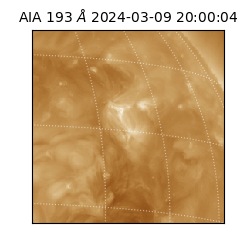 saia - 2024-03-09T20:00:04.843000