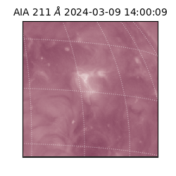 saia - 2024-03-09T14:00:09.622000