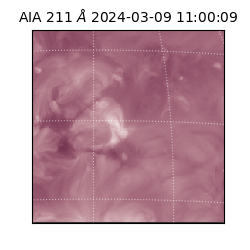 saia - 2024-03-09T11:00:09.633000