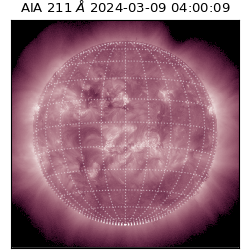 saia - 2024-03-09T04:00:09.622000