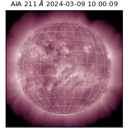 saia - 2024-03-09T10:00:09.631000