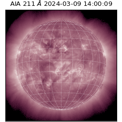 saia - 2024-03-09T14:00:09.622000