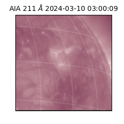 saia - 2024-03-10T03:00:09.625000