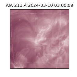 saia - 2024-03-10T03:00:09.625000