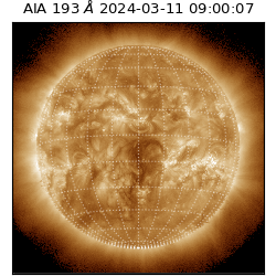 saia - 2024-03-11T09:00:07.249000