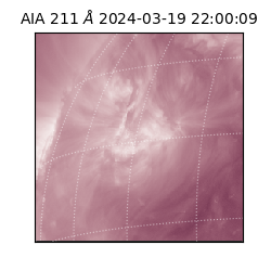 saia - 2024-03-19T22:00:09.629000