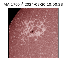 saia - 2024-03-20T10:00:28.720000