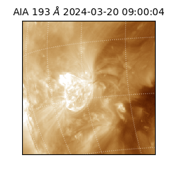 saia - 2024-03-20T09:00:04.843000