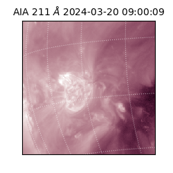 saia - 2024-03-20T09:00:09.626000