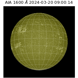 saia - 2024-03-20T09:00:14.126000
