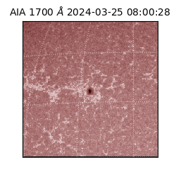 saia - 2024-03-25T08:00:28.717000