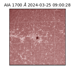 saia - 2024-03-25T09:00:28.721000