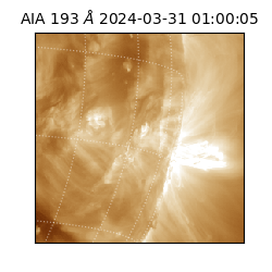 saia - 2024-03-31T01:00:05.630000