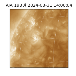 saia - 2024-03-31T14:00:04.843000