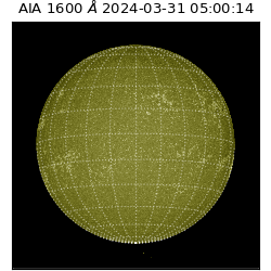 saia - 2024-03-31T05:00:14.122000