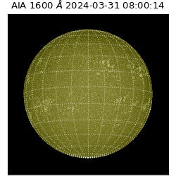 saia - 2024-03-31T08:00:14.126000