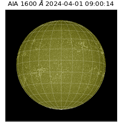 saia - 2024-04-01T09:00:14.126000