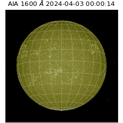 saia - 2024-04-03T00:00:14.125000