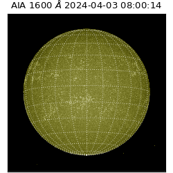 saia - 2024-04-03T08:00:14.132000