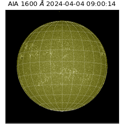 saia - 2024-04-04T09:00:14.126000