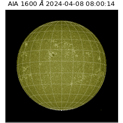 saia - 2024-04-08T08:00:14.126000