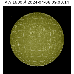 saia - 2024-04-08T09:00:14.126000