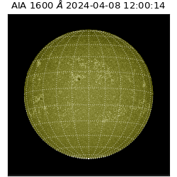 saia - 2024-04-08T12:00:14.126000