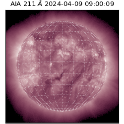 saia - 2024-04-09T09:00:09.626000