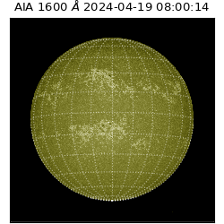 saia - 2024-04-19T08:00:14.126000