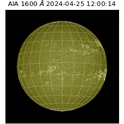 saia - 2024-04-25T12:00:14.126000