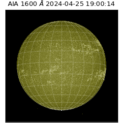 saia - 2024-04-25T19:00:14.129000