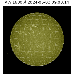 saia - 2024-05-03T09:00:14.125000