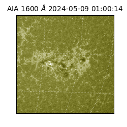 saia - 2024-05-09T01:00:14.132000