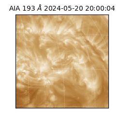 saia - 2024-05-20T20:00:04.842000