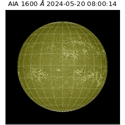 saia - 2024-05-20T08:00:14.126000