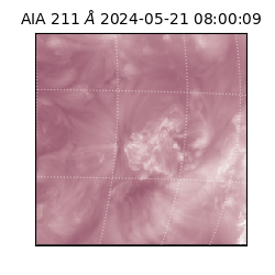 saia - 2024-05-21T08:00:09.626000