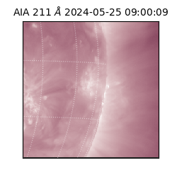 saia - 2024-05-25T09:00:09.626000