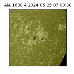 saia - 2024-05-25T07:00:38.130000