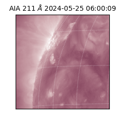 saia - 2024-05-25T06:00:09.632000