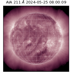 saia - 2024-05-25T08:00:09.626000