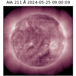 saia - 2024-05-25T09:00:09.626000