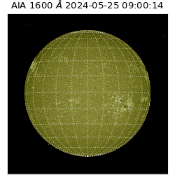 saia - 2024-05-25T09:00:14.126000