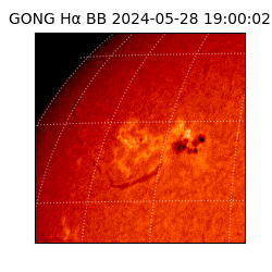 gong - 2024-05-28T19:00:02