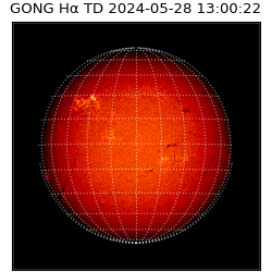gong - 2024-05-28T13:00:22