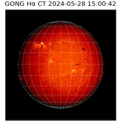 gong - 2024-05-28T15:00:42