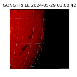 gong - 2024-05-29T01:00:42